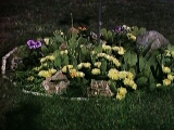 Le Jardin