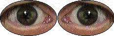 Les Yeux !
